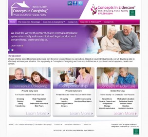 Concepts In Caregiving